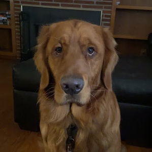 Meet your Posher, Alaina